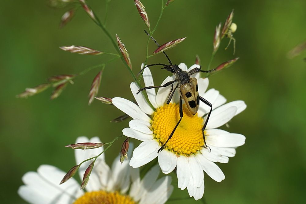 Photograph by Галина Кан