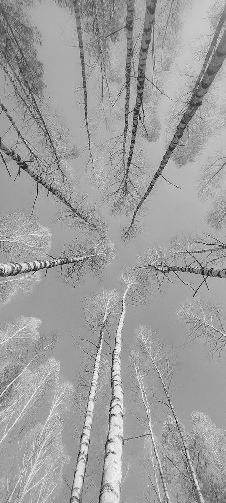 Photograph by Елена Кошелева