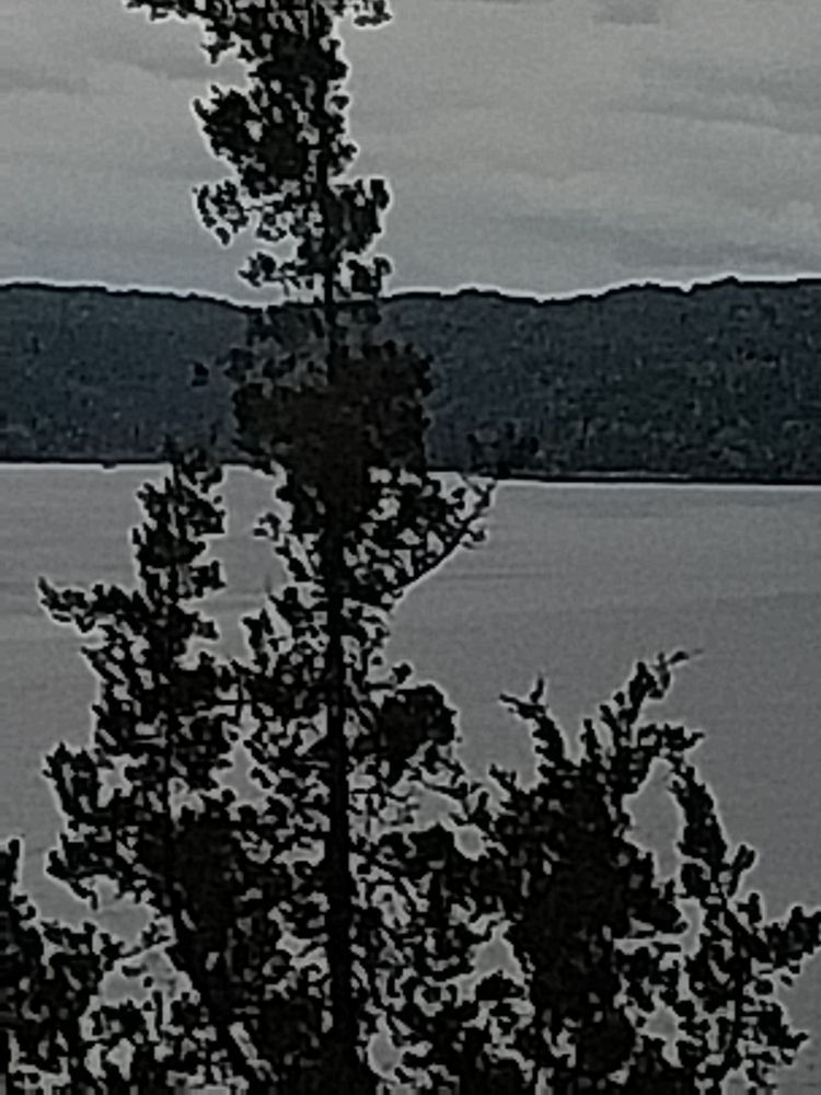 Photograph by Amy nicole allbritten