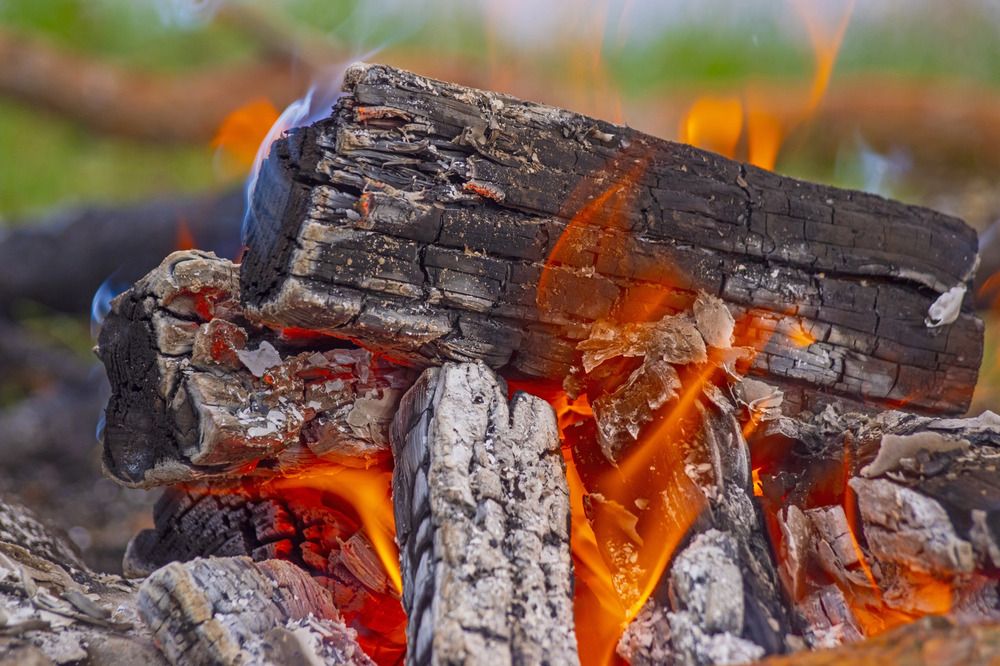 Photograph by Анна Васильева