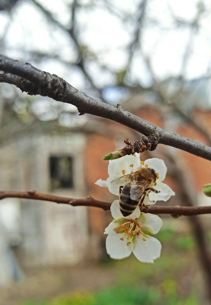 Photograph by Виорика Фоменко