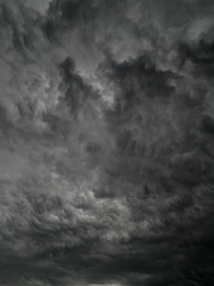 Photograph by Tatiana Grinko