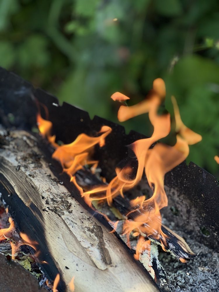 Photograph by Tatiana Grinko