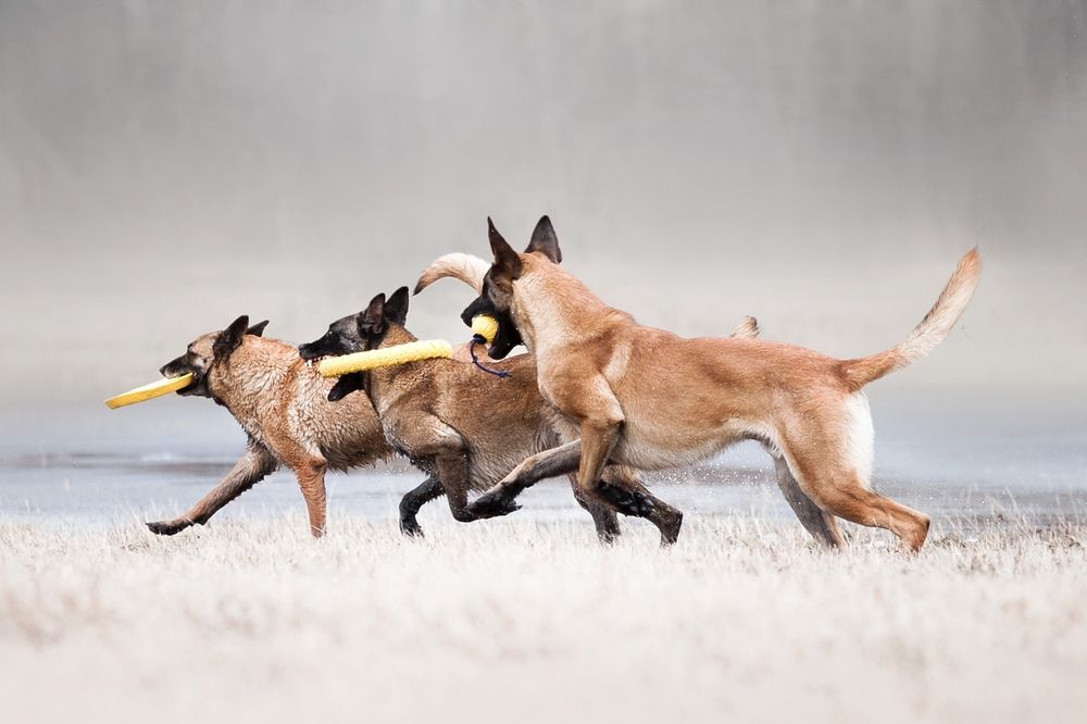 Photograph by Жанна Дандыбаева