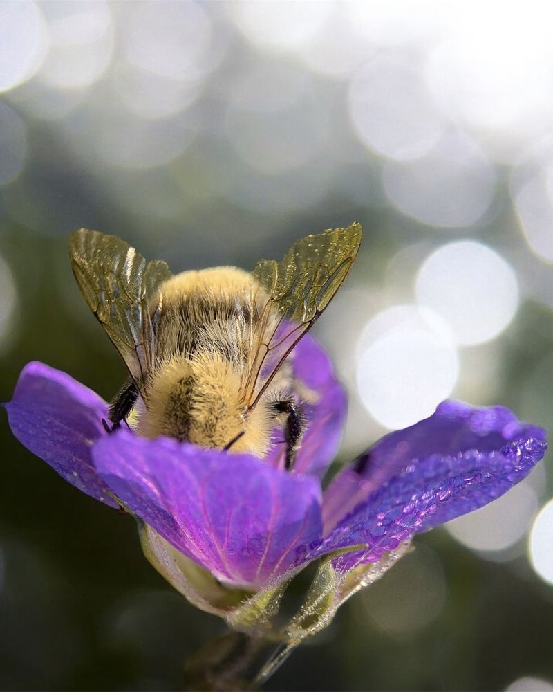 Photograph by Tatiana Grinko