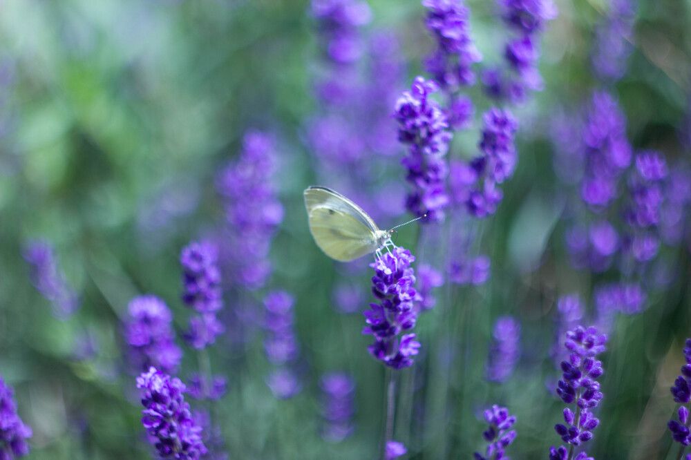 Photograph by Филипп Бабенко