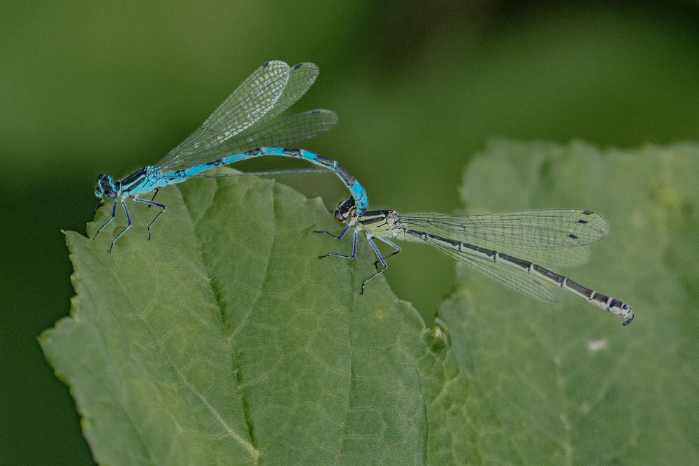 Photograph by Tatiana Grinko