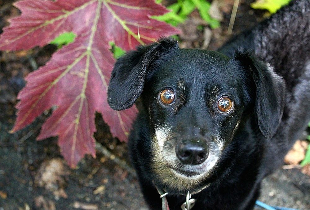 Photograph by Ирина Саттарова