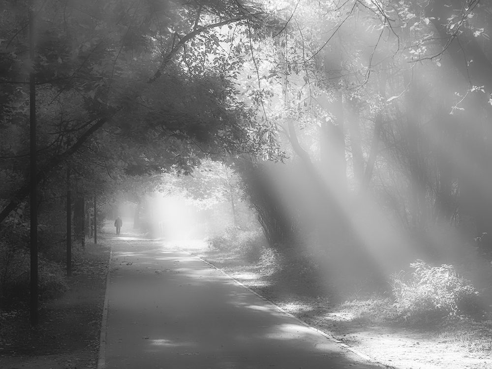 Photograph by Духанин Сергей