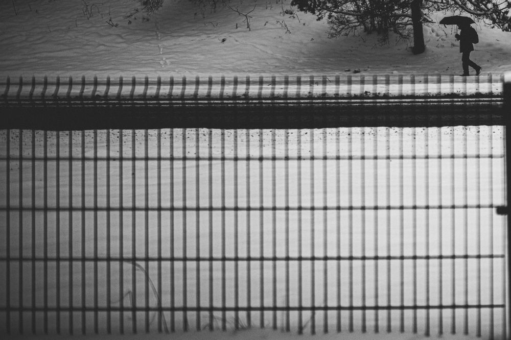 Photograph by Александрас Савицкис