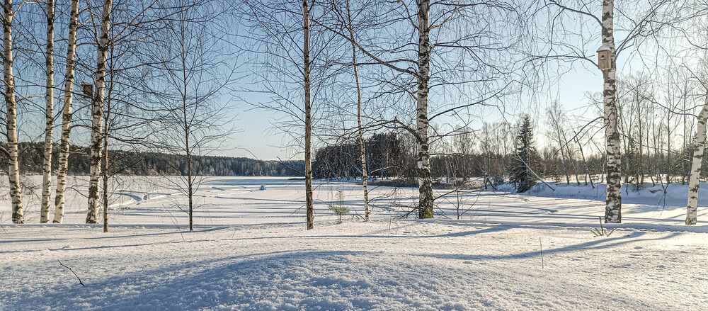 Photograph by Александр Гатилов