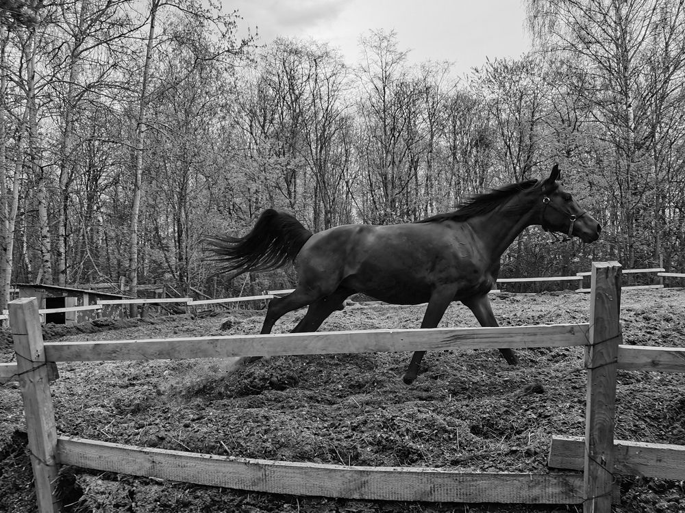 Photograph by Сергей Пушкин