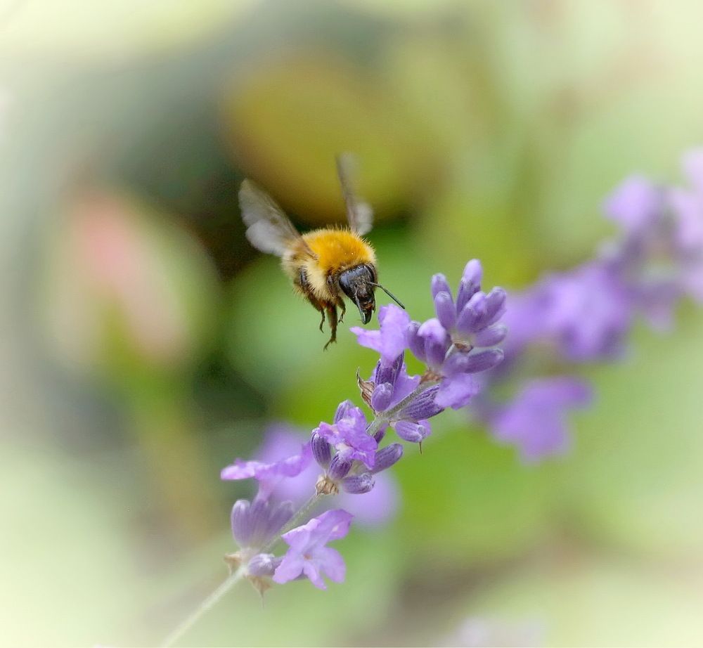 Photograph by Андрей Брагин