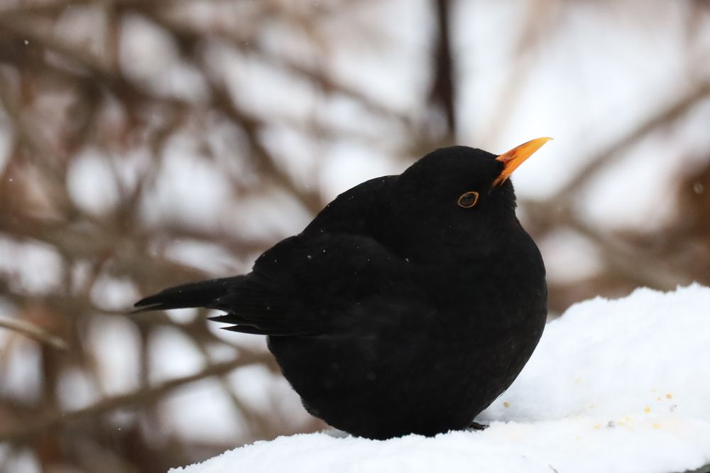 Фотография автора Pavel Cof