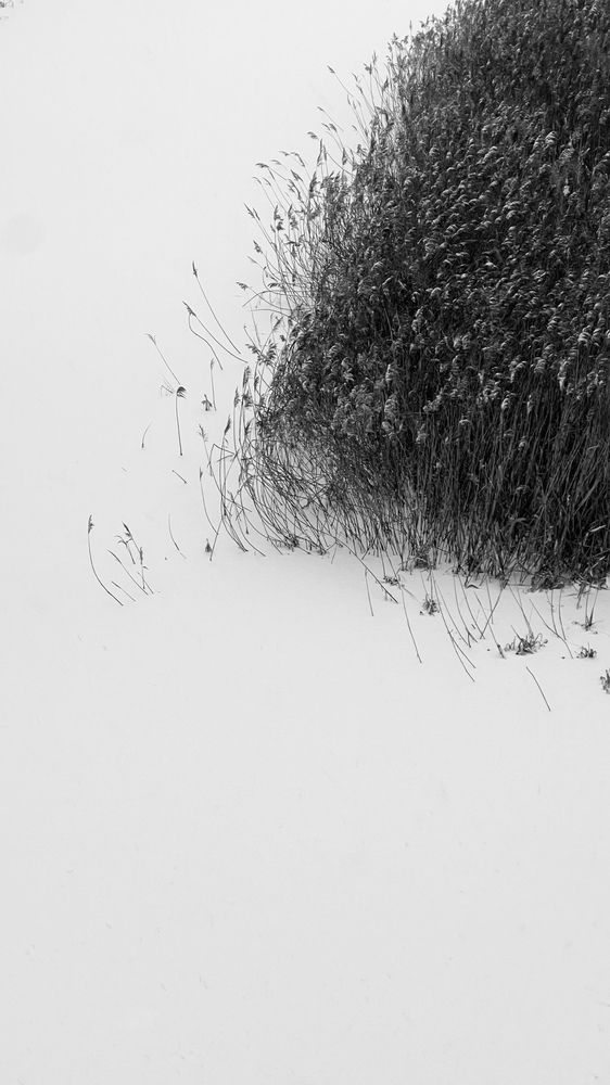 Photograph by Оксана Янченко