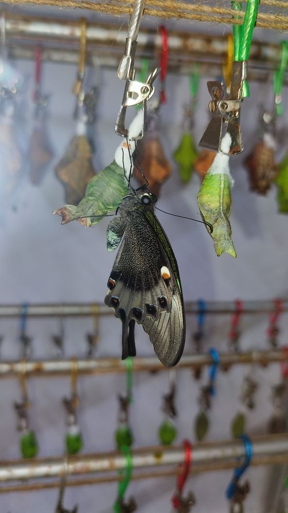 Photograph by Полина Скурская