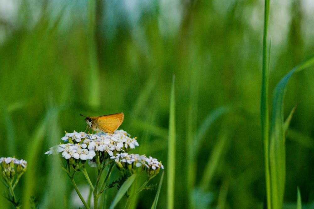 Photograph by Ольга