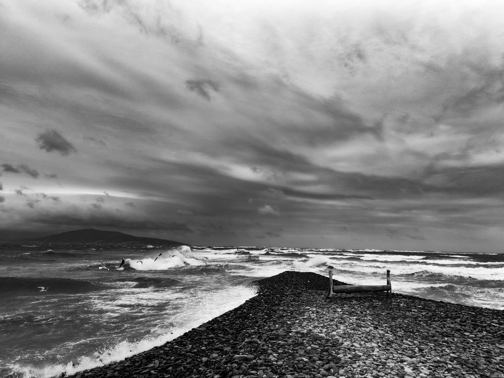 Фотография автора OXANA MARSOVA