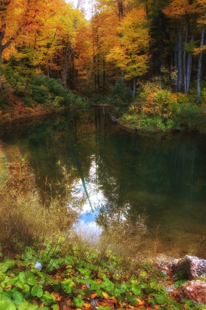 Фотография автора Татьяна Сергиенко
