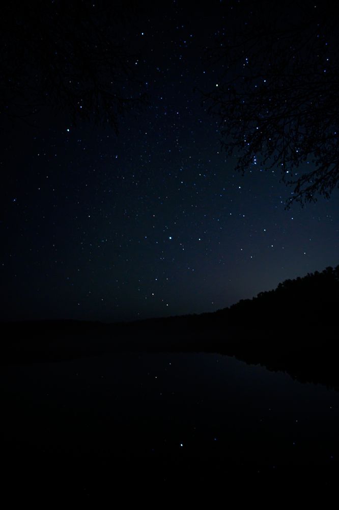 Photograph by Александрас Савицкис