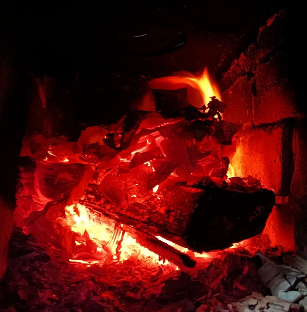 Photograph by Olga Kot