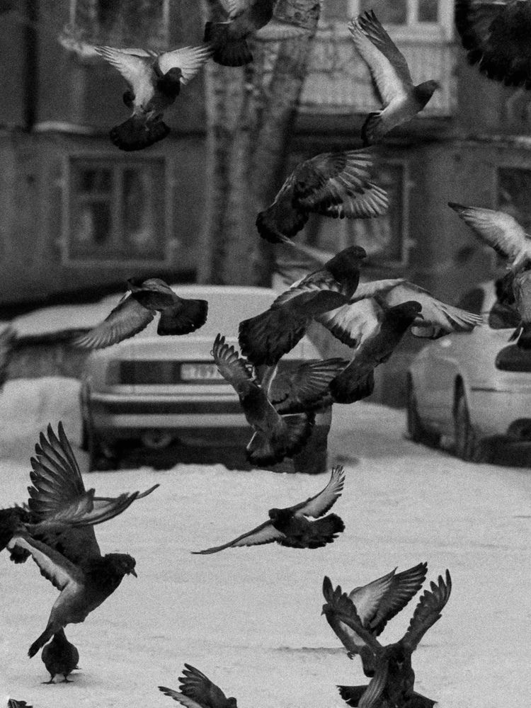 Photograph by Мария Садыкбекова