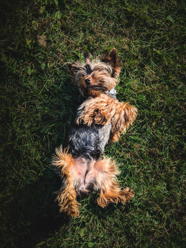 Photograph by Артём Коваленко