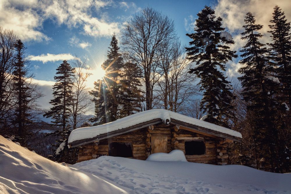 Photograph by EKATERINA WALTER