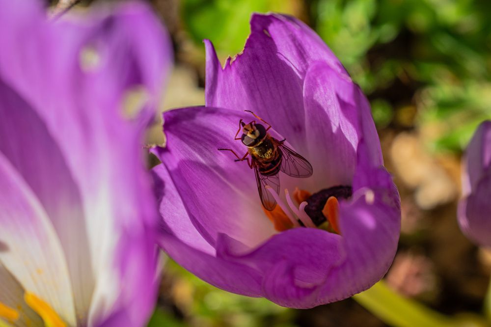 Photograph by Дмитрий Анисимов