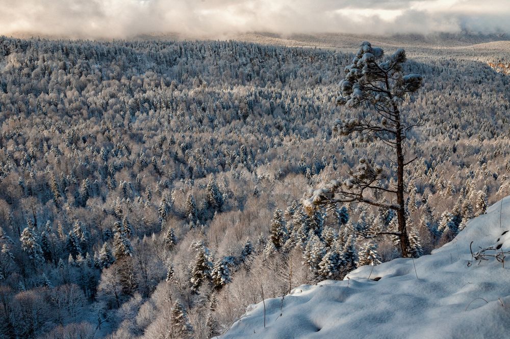 Photograph by EKATERINA WALTER