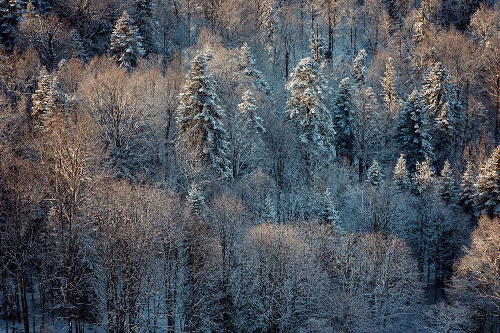 Photograph by EKATERINA WALTER