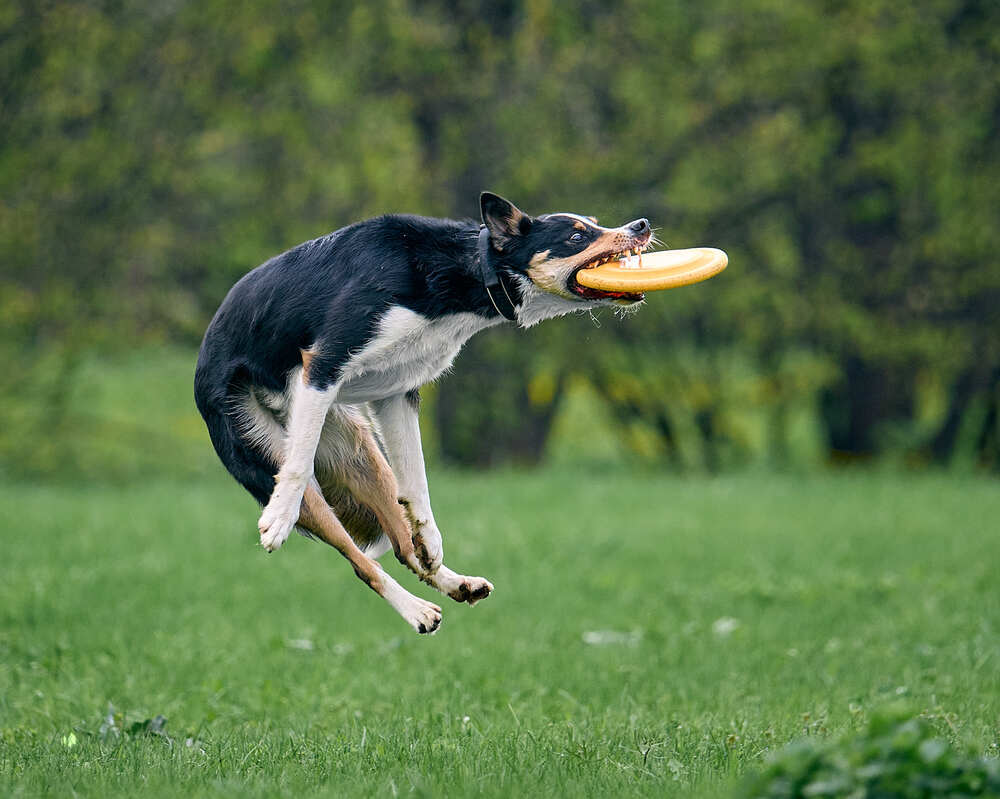 Photograph by Mikhail Khmelevskiy