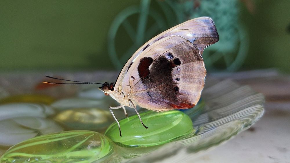 Photograph by Полина Скурская