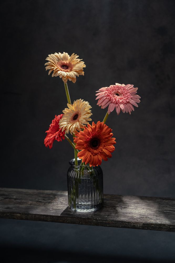 Photograph by Сергей Урунбаев