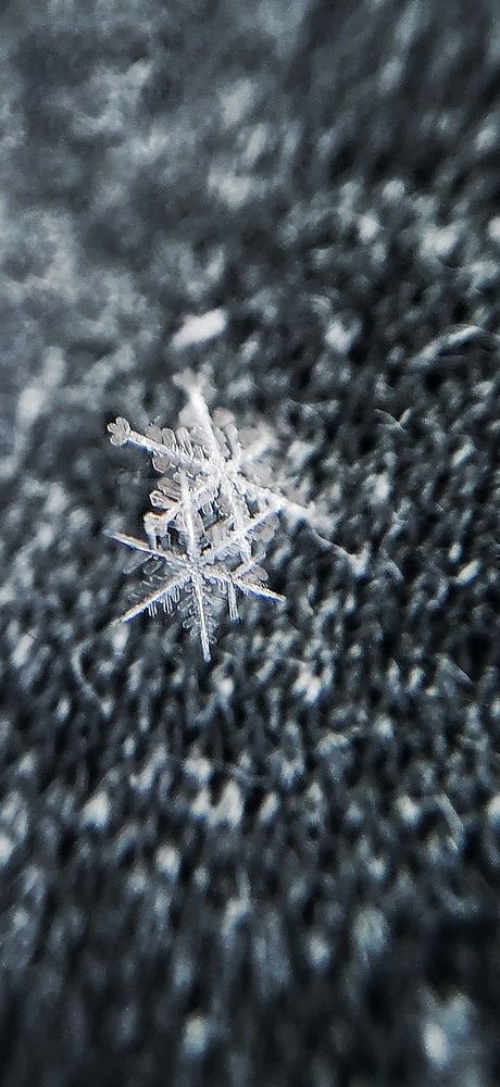 Photograph by Екатерина Абросова