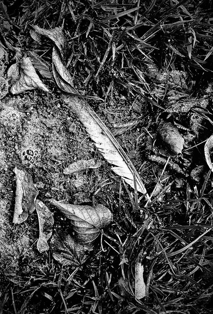 Фотография автора Aliaksandr Shautsou