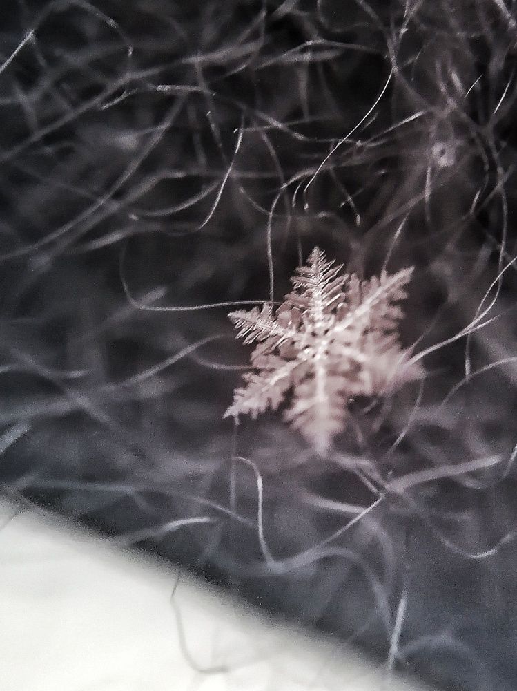 Photograph by Екатерина Абросова