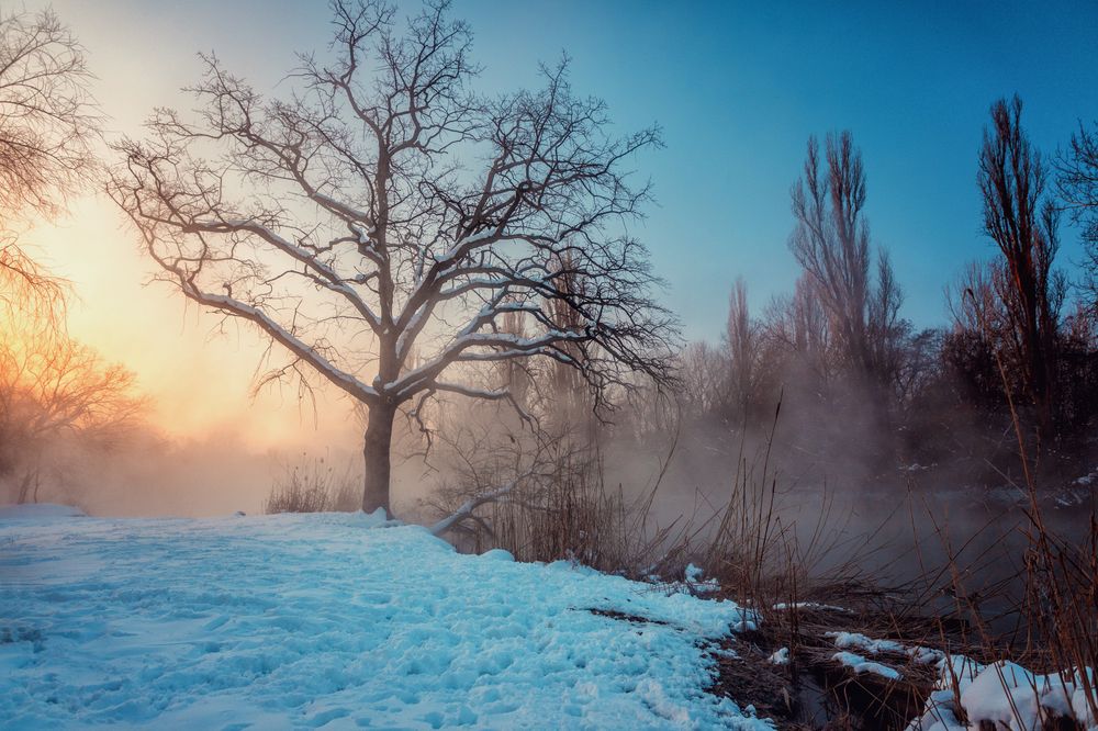 Photograph by EKATERINA WALTER