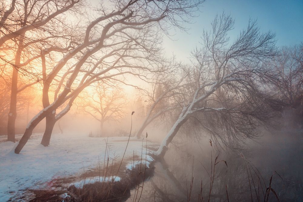 Photograph by EKATERINA WALTER