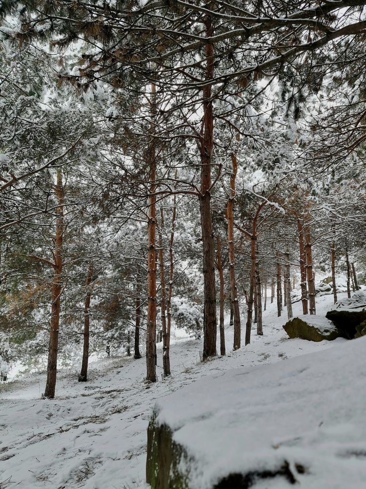 Photograph by Наталья Чурашова