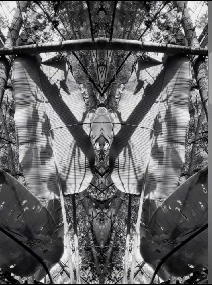 Photograph by María Claudia Salcedo