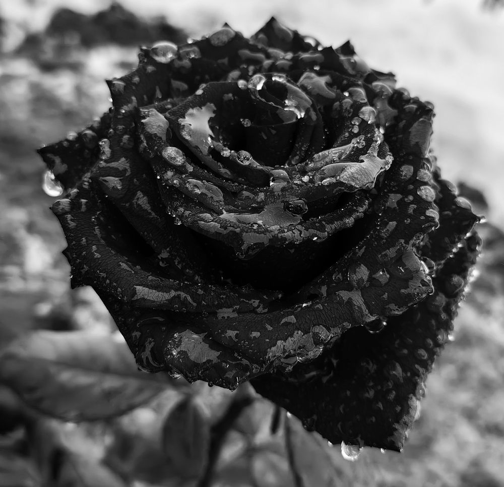 Photograph by Анастасия Моисеева