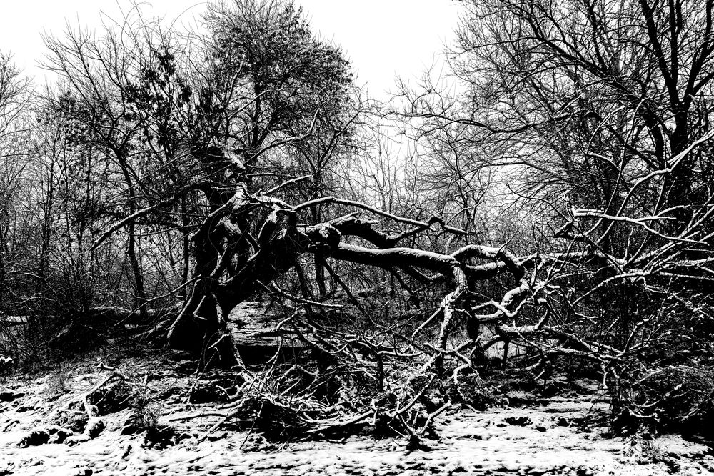 Фотография автора Вадим Коваленко