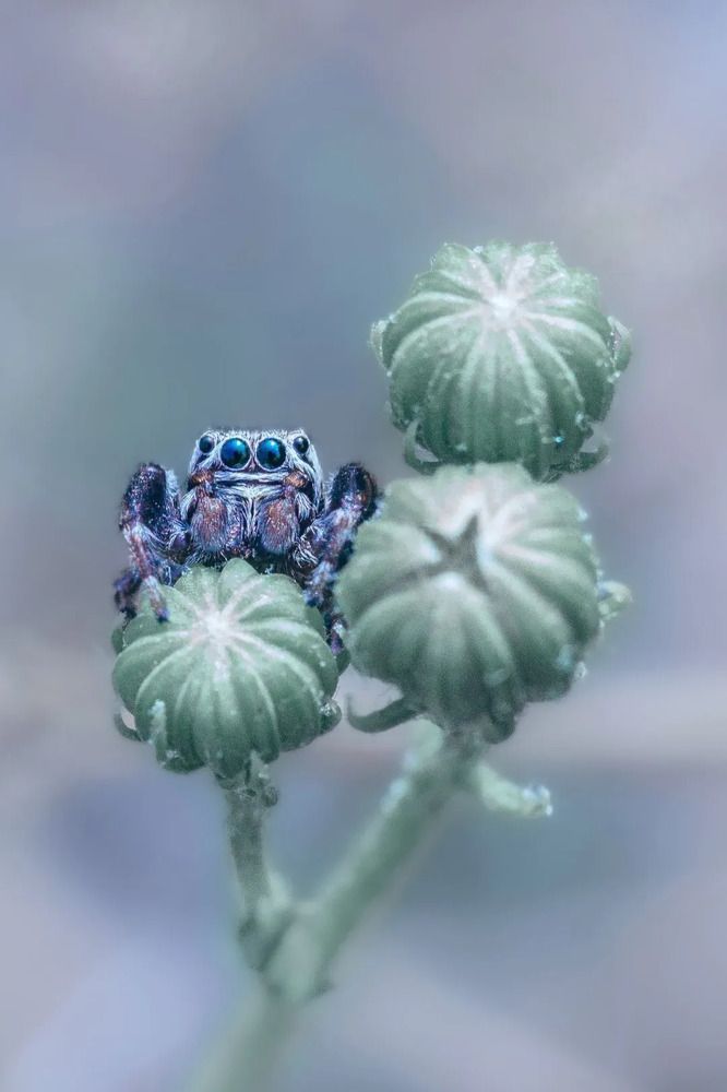 Photograph by Оджи Мила