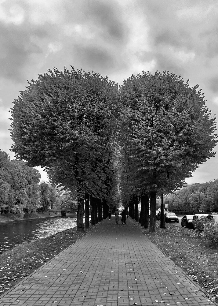 Photograph by Ирина Данилова