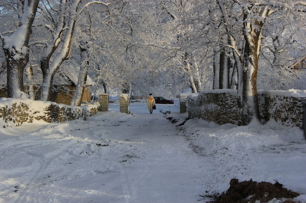 Photograph by Nikita Zorin