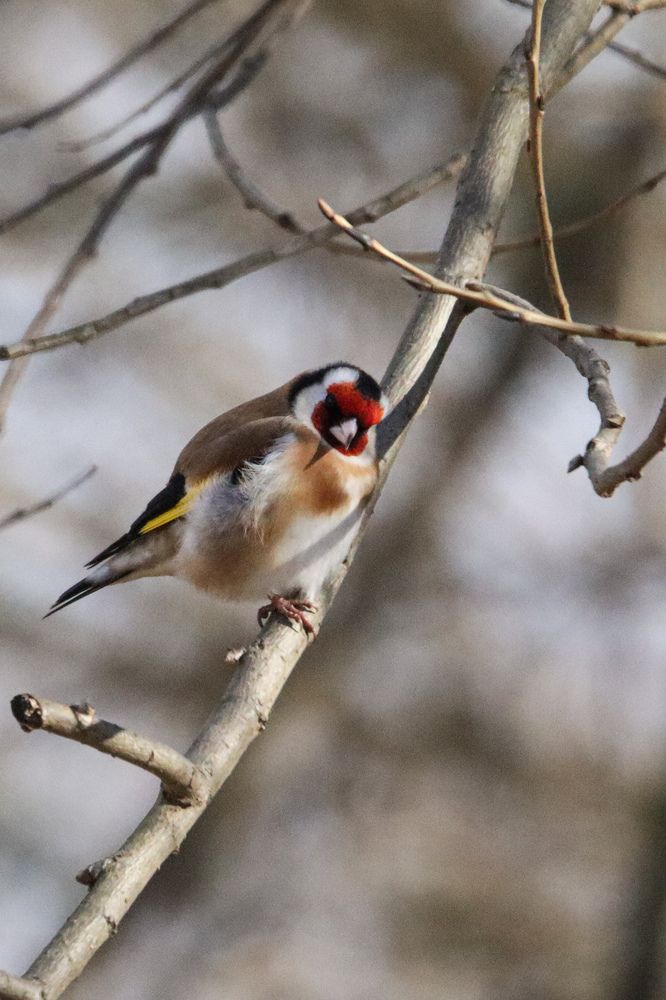 Photograph by Evgenia Korchagova