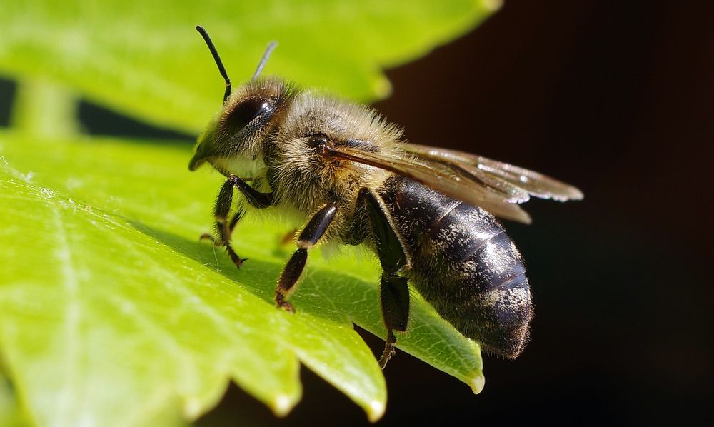 Фотография автора Сергей Гречихин