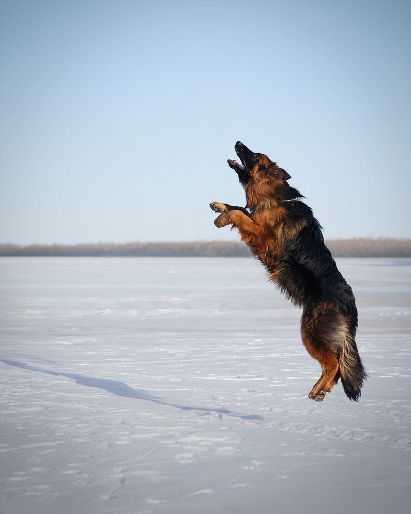 Photograph by Виктория Сафонова