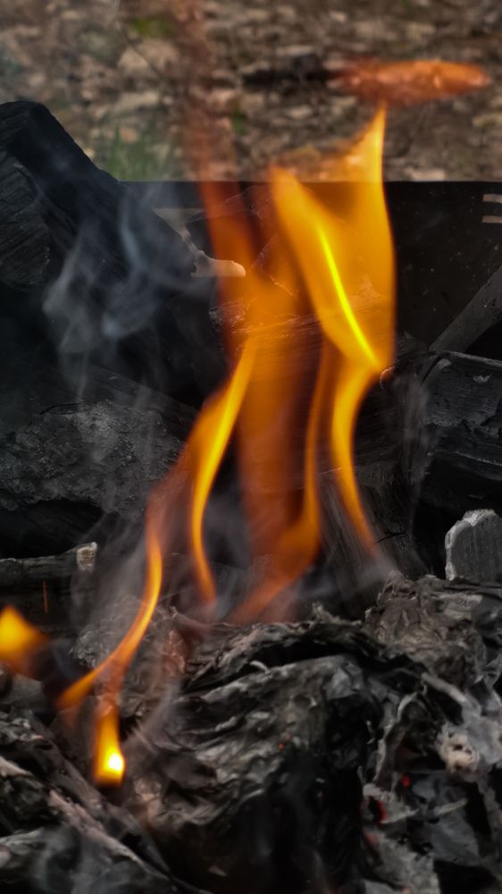 Фотография автора Ольга Панасюк